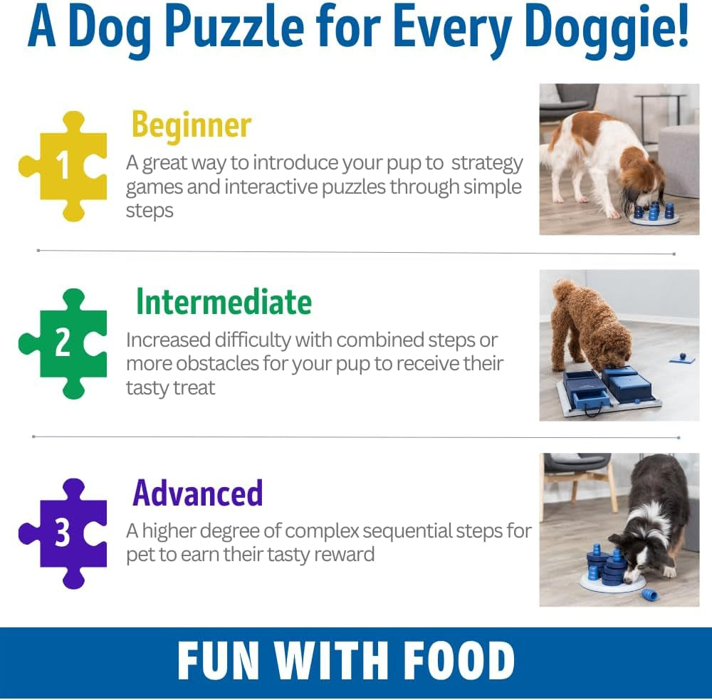 TRIXIE Poker Box 2 Dog Enrichment Toy, Advanced Level 3 Dog Puzzle, Interactive