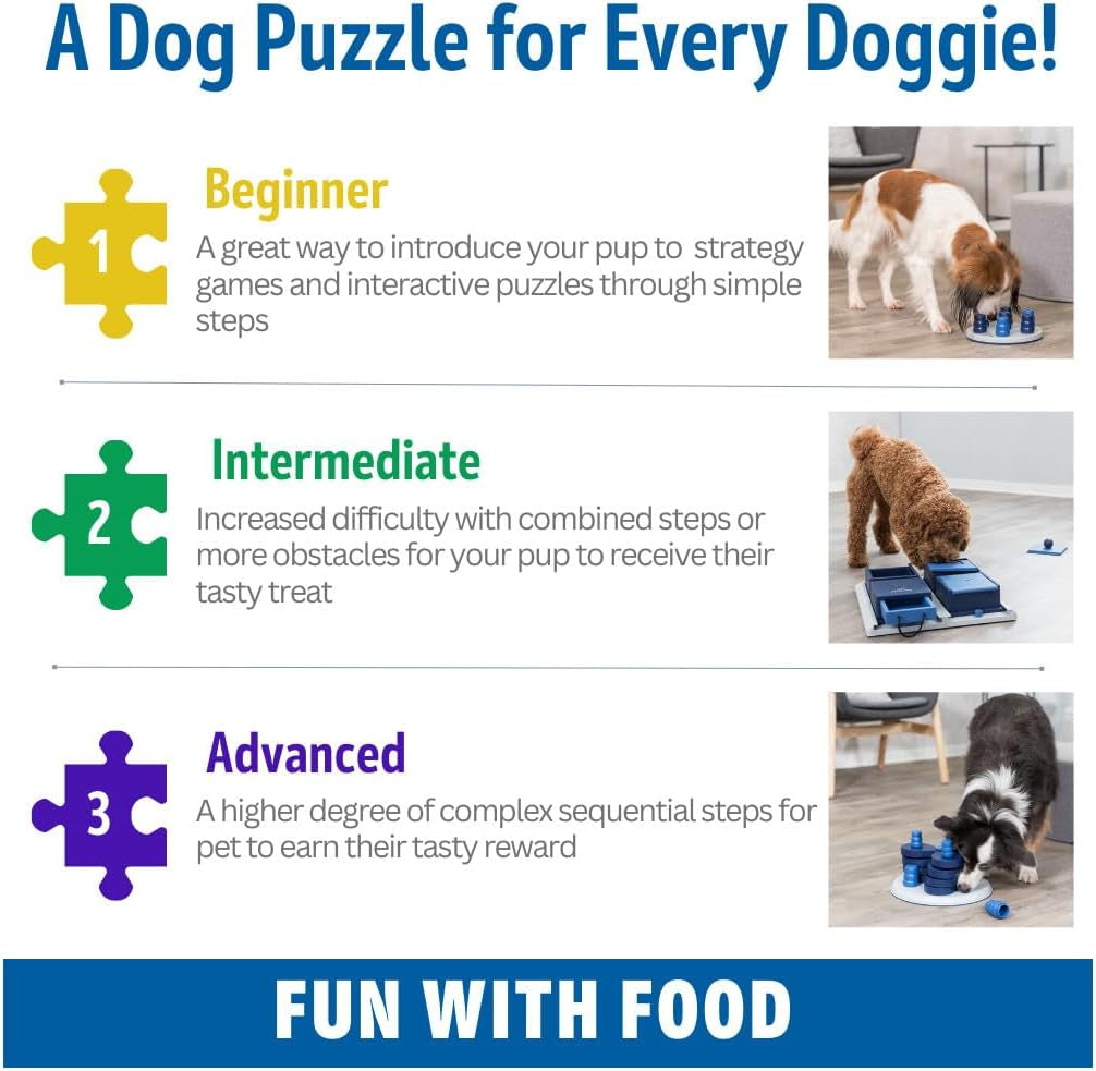 TRIXIE Poker Box 2 Dog Enrichment Toy, Advanced Level 3 Dog Puzzle, Interactive