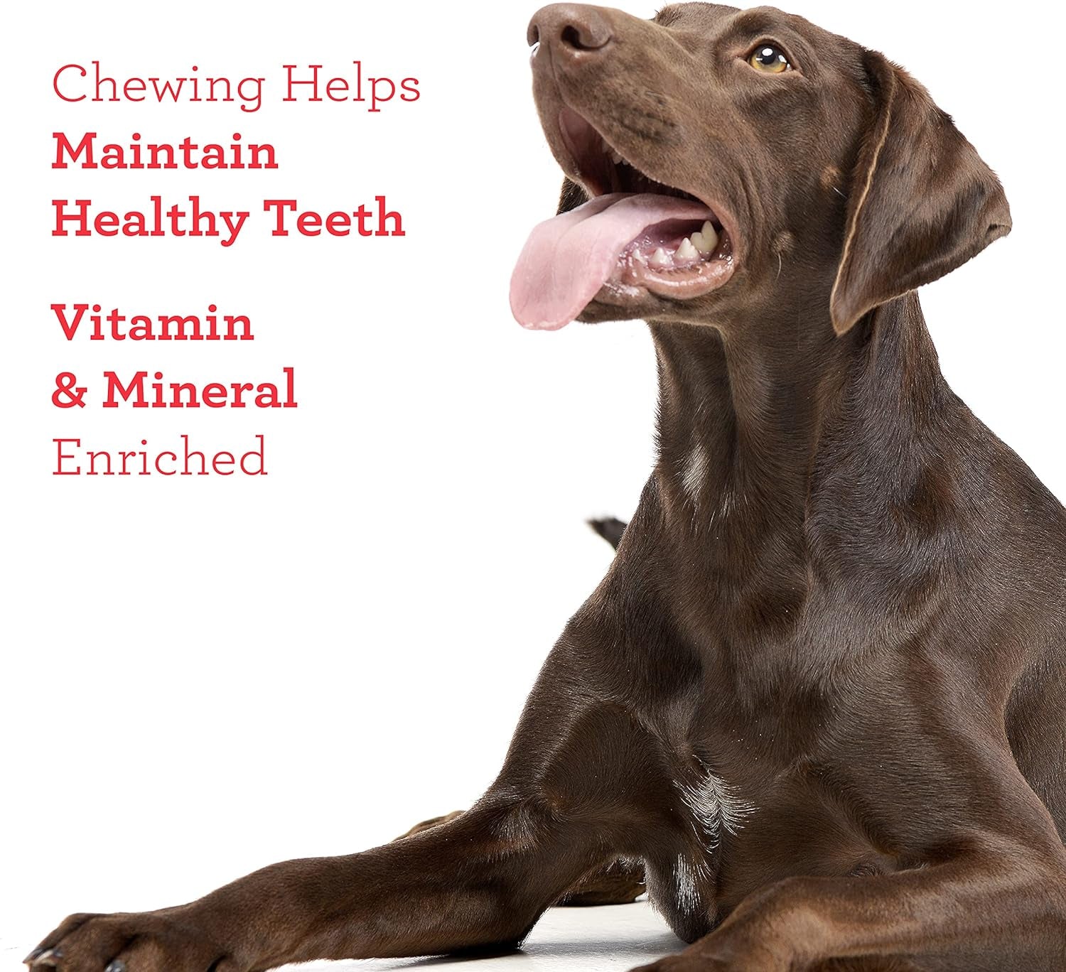 Rattleball Small Chews 14 Count, Rawhide-Free Chews for Dogs, with Real Chicken Treats Inside