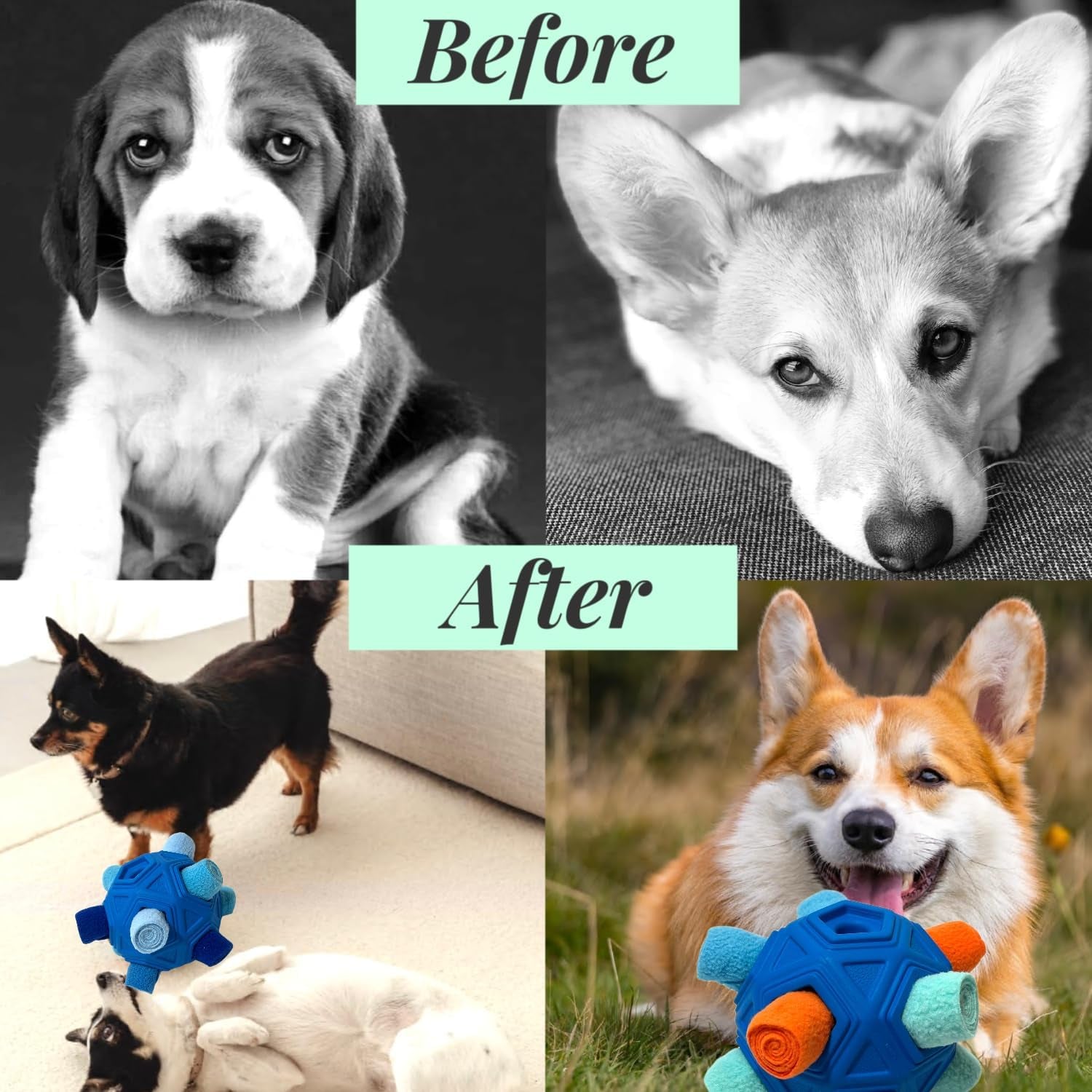 Snuffle Ball for Dog Toys Unbreakable Upgrade Ball Interactive Toy Foraging Snuffle Mat Puppy Treat Dispenser Slow Feeder Dog Puzzle Toys for Small, Medium, Large Pets (Blue)