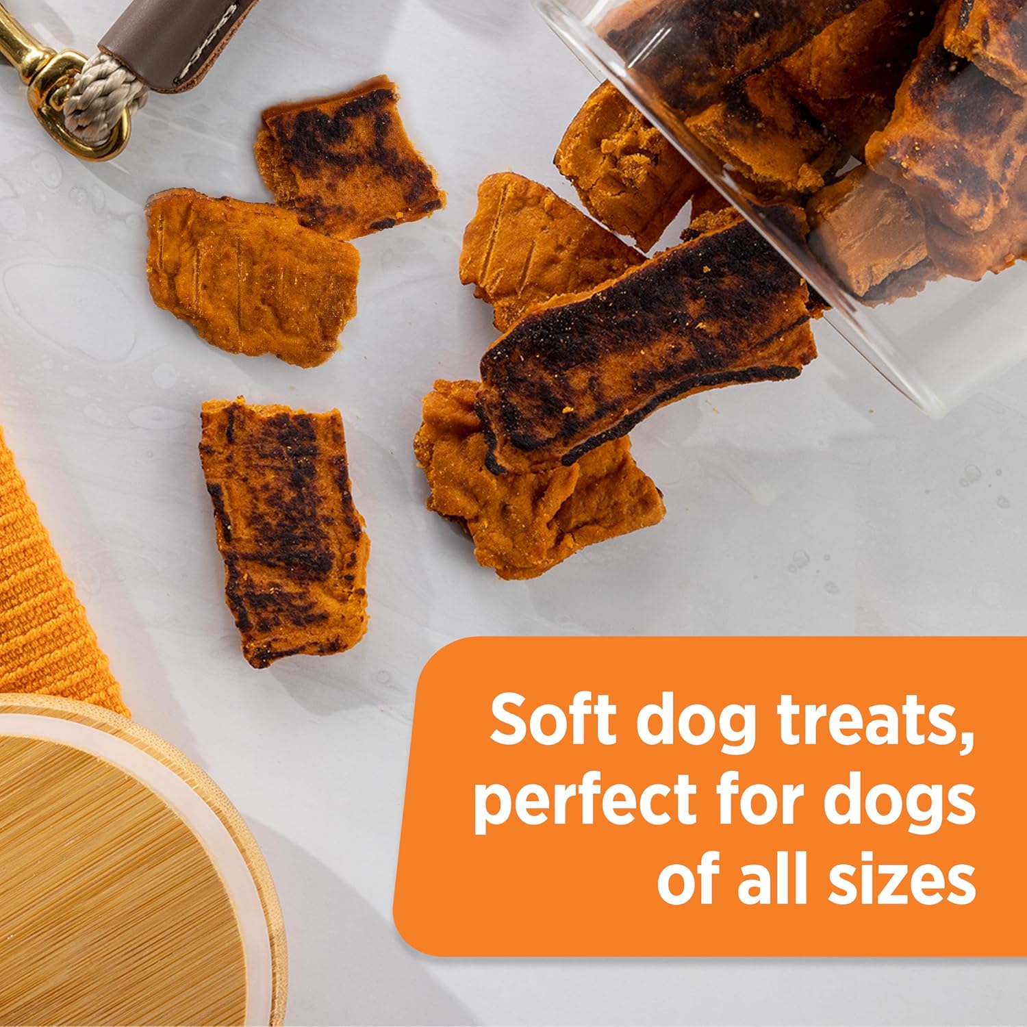 Rachael Ray  Turkey Bites with Hickory Smoke Bacon Flavor Dog Treats, 12 oz Pouch