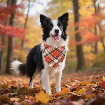 Stylish Orange Plaid Dog Bandana with Tassel Edges, Available in Multiple Sizes for Medium to Large Dogs, Perfect for Thanksgiving and Halloween