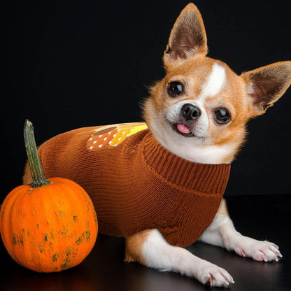 Set of 2 Thanksgiving Dog Sweaters - Warm Knitwear for Pets, Ideal for Holiday Celebrations, Available in Orange and Brown