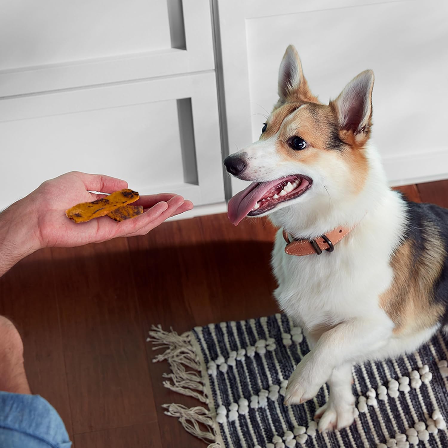 Rachael Ray  Turkey Bites with Hickory Smoke Bacon Flavor Dog Treats, 12 oz Pouch