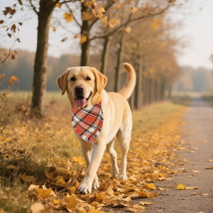 Stylish Orange Plaid Dog Bandana with Tassel Edges, Available in Multiple Sizes for Medium to Large Dogs, Perfect for Thanksgiving and Halloween