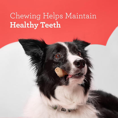 Mini Chews, Made with Real Chicken, Rawhide Free Chews for Dogs, 24 Count