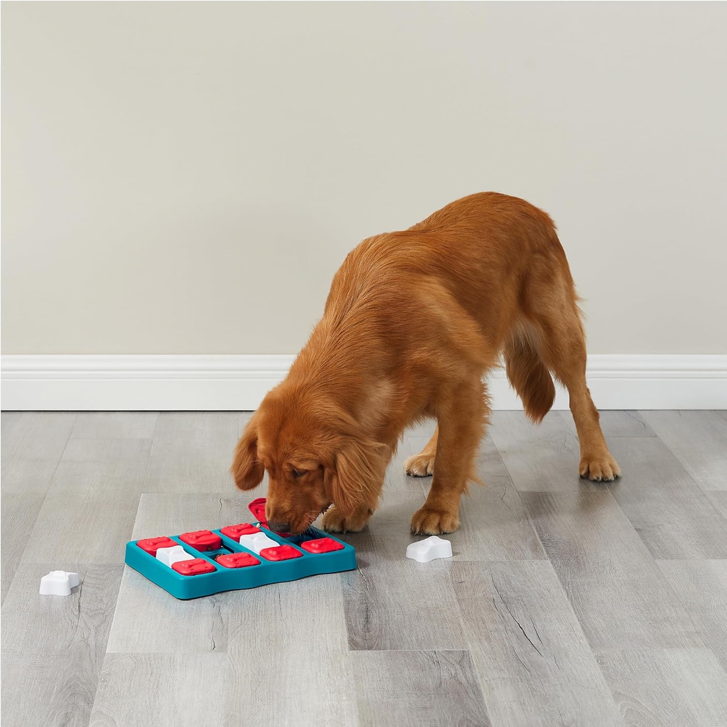 by Nina Ottosson Dog Brick Treat Puzzle Enrichment Toy, Level 2 Intermediate Game, Blue