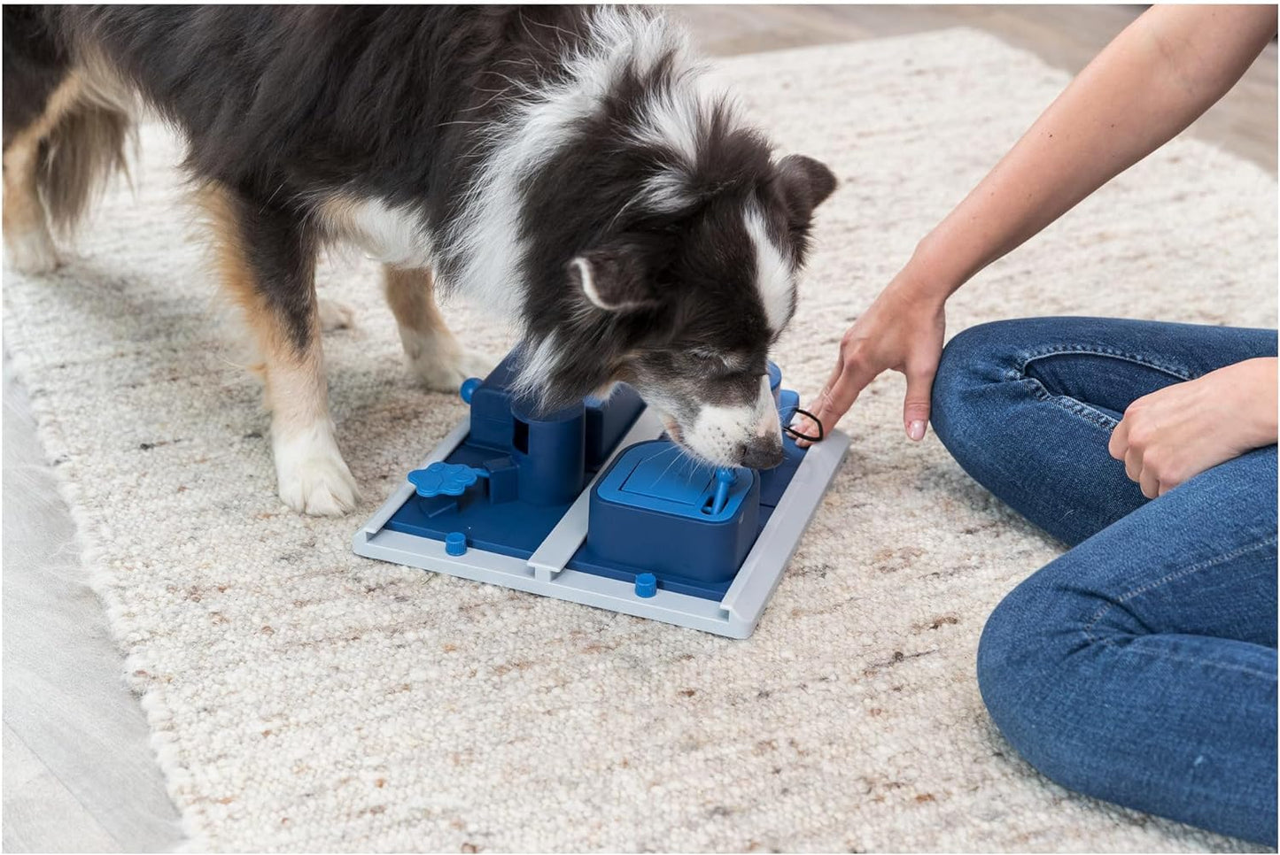 TRIXIE Poker Box 2 Dog Enrichment Toy, Advanced Level 3 Dog Puzzle, Interactive